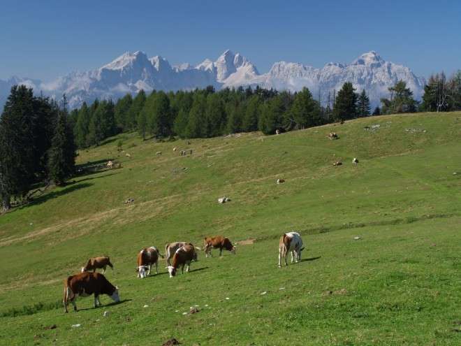 Vista de los Alpes eslovenos. (foto: Martín Brus)