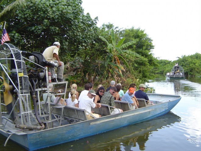 Everglades - crocodile hunting.