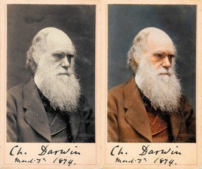Charles Darwin, 1874