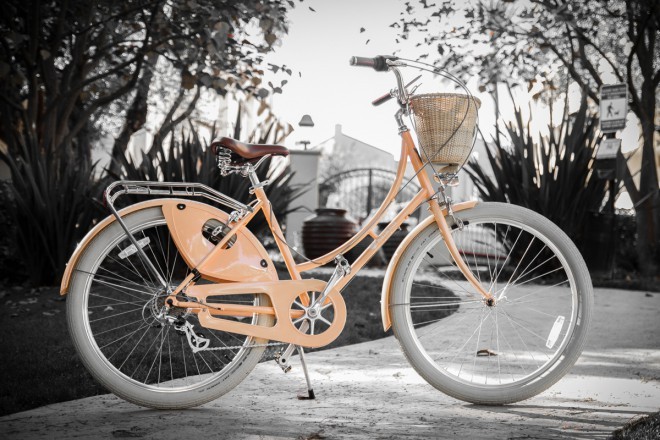 Charmant Le Rêveur. Photo : Vélos de la paix.