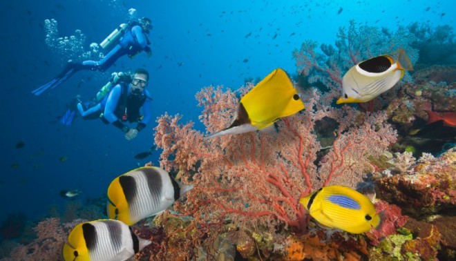 Das Great Barrier Reef ist eines der sieben Naturwunder der Welt. Foto: Ausgabe CNN