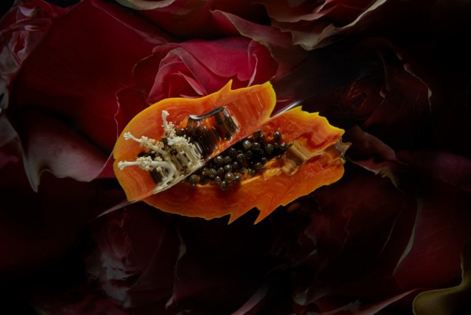 El sabor Scent of a Woman fue creado en colaboración con Christian Dior. 