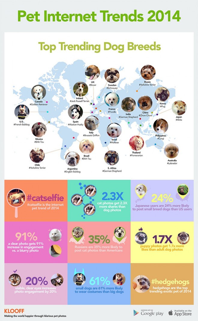 The most popular breeds by country and other interesting statistics.