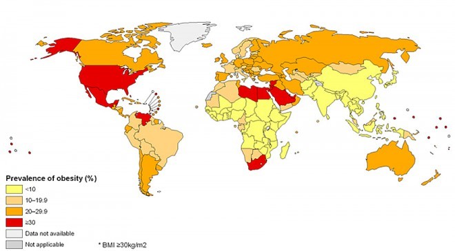 Países según obesidad o exceso de peso