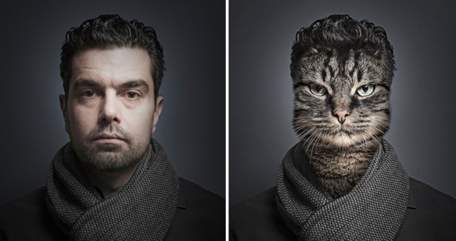A cat in its owner's disguise