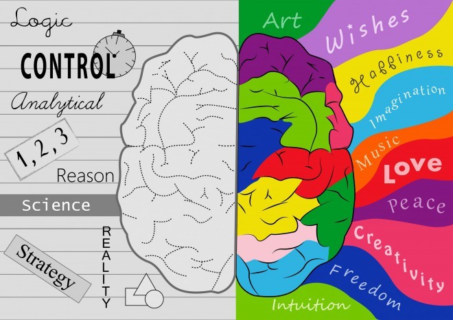 Bij muzikanten zijn beide hersenhelften gelijk ontwikkeld.