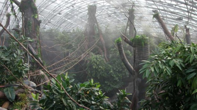 Der indonesische Dschungel im Prager Zoo