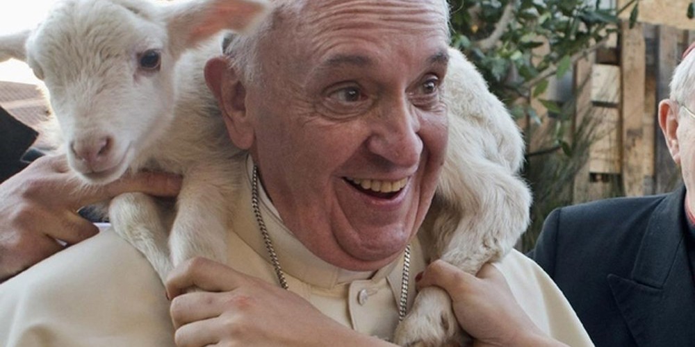 Pope Francis is as humble as a sheep.