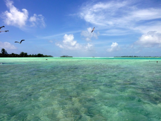 パリムラ環礁、呪われた楽園。
