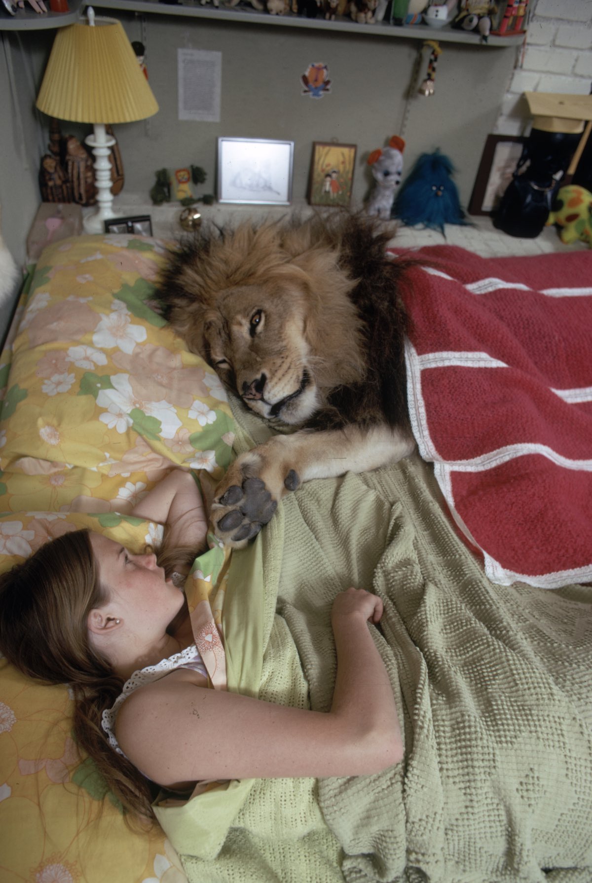 Living-with-a-Lion-8.jpg