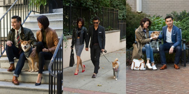 Shiba Inu + dva stilska oblikovalca = uspešen modni blog Menswear Dog