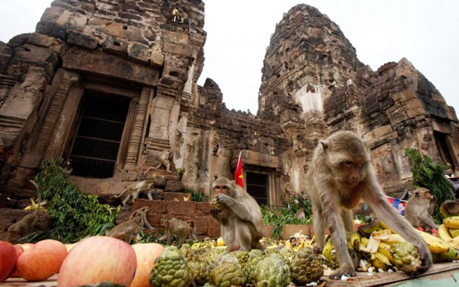 Opičja pojedina, Tajska