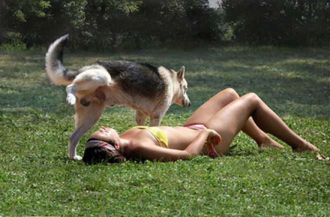 Pes moškega spola dvigne nogo v znak dominance. 