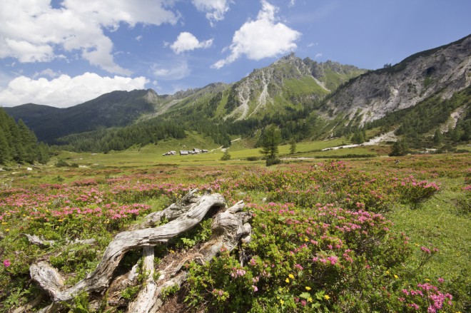 Park Narodowy Kalkalpen w Austrii