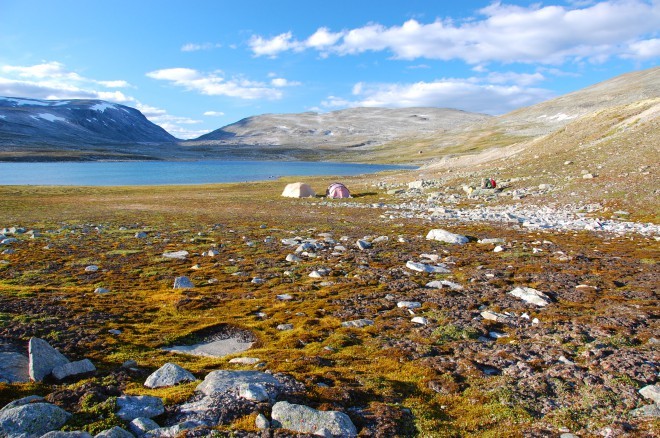 Nacionalni park Dovrefjell.