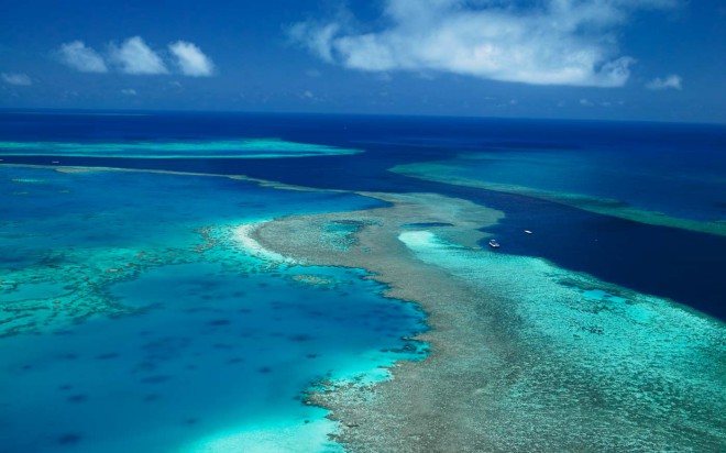 Veliki koraljni greben u Australiji.