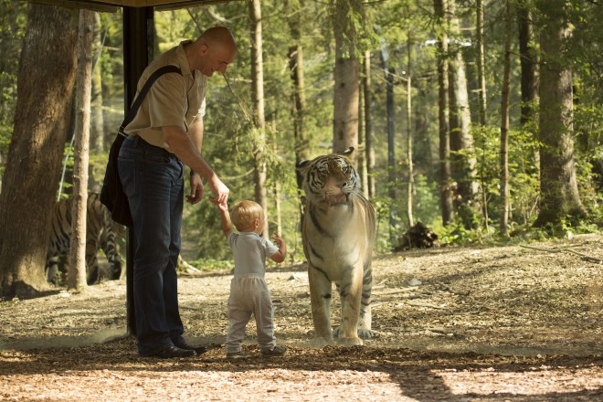 在卢布尔雅那动物园，孩子们会遇到很多动物。