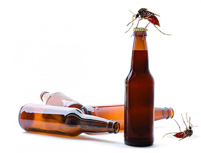 Mücken sind besonders beliebt bei Biertrinkern.