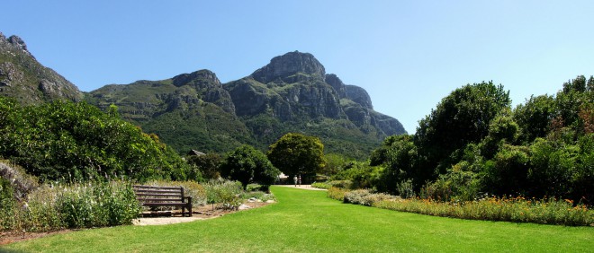 Kirstenbosch Botanical Garden, Western Cape, Južna Afrika