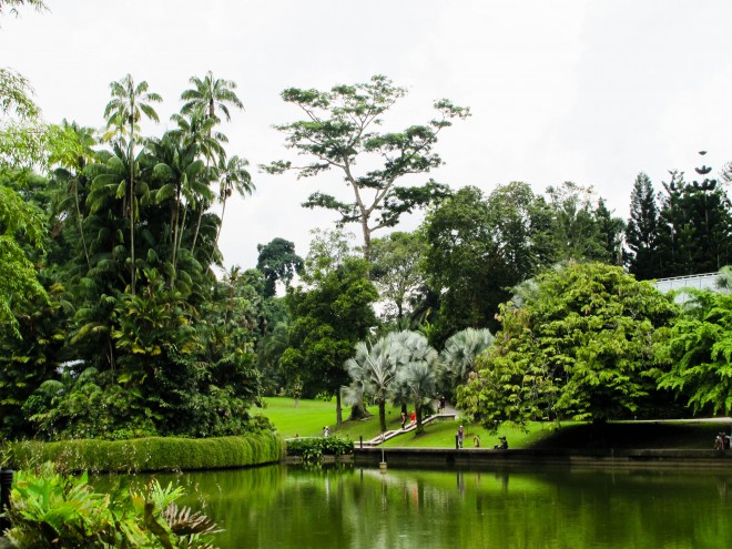 Jardins botaniques de Singapour, Singapour