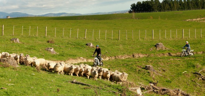 Ubcu 2x2 je dokazal, da je  gospodar med e-kolesi, ne pa metljava ovca kot večina ostalih.