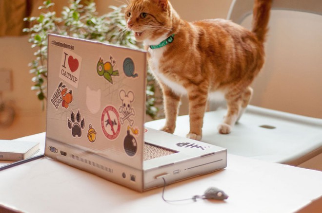 Maailman ensimmäinen kissan kannettava tietokone.