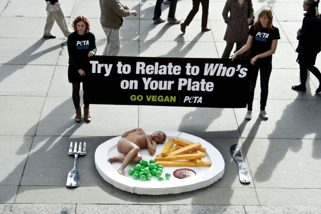 The aggressive approach of vegans in the media gives many people a wrong idea about vegans.