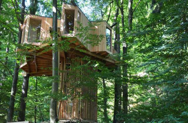 A real tree residence can now be found among the treetops in the Celje City Forest.
