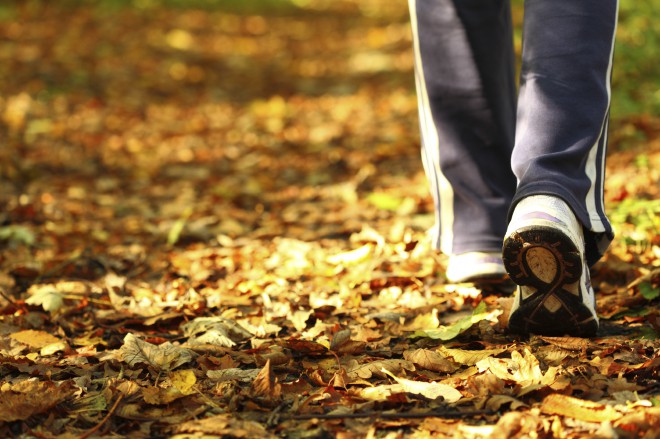 漫步在秋叶间。