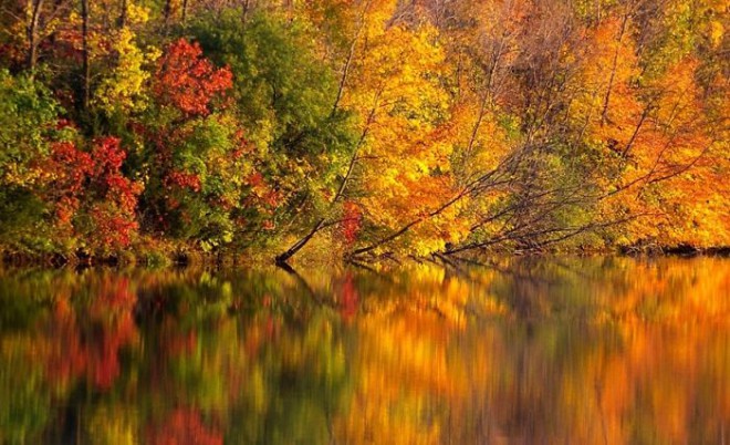 秋天，大自然的色彩比Photoshop还要多。