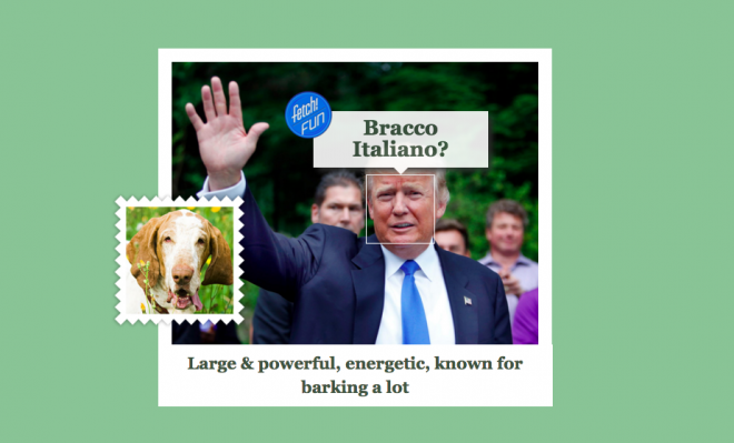Donald Trump je italijanski ptičar.