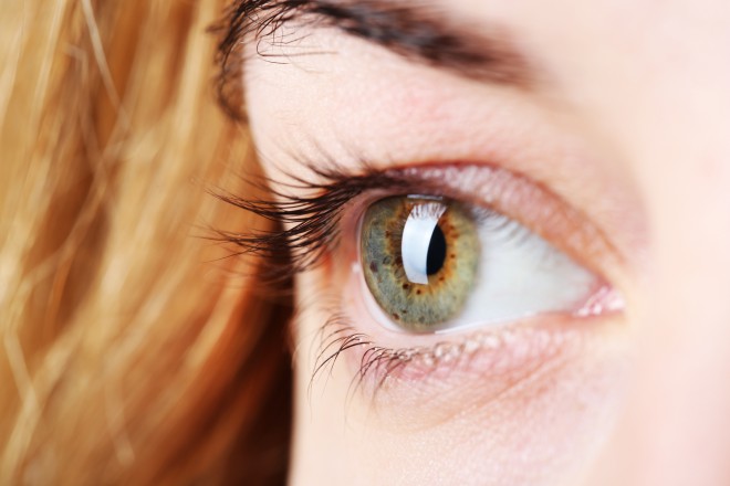 眼睛含有多达 1.07 亿个对光做出反应的细胞。