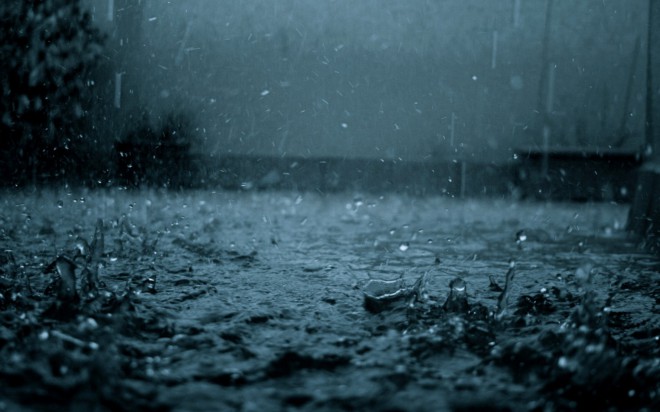 Do you know why the sound of rain forces us to water?