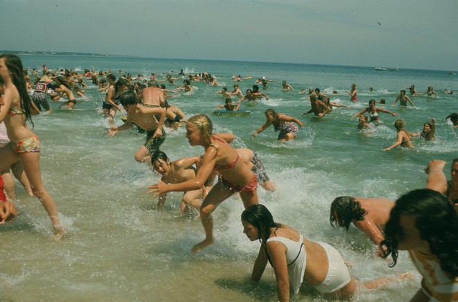映画「ジュレロ」のせいで多くの人が海から遠ざかりましたが、夏はサメよりも蚊を恐れるべきです。