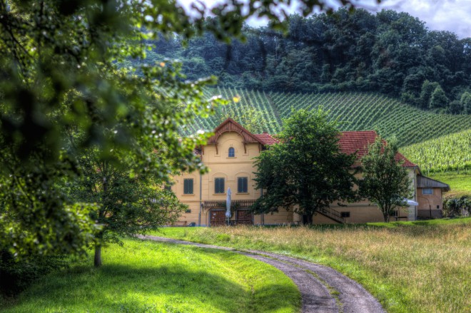 Glambing vesnice obklopená vinicemi.