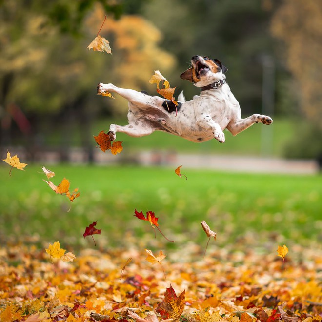 Are you also jumping for joy because autumn has arrived?