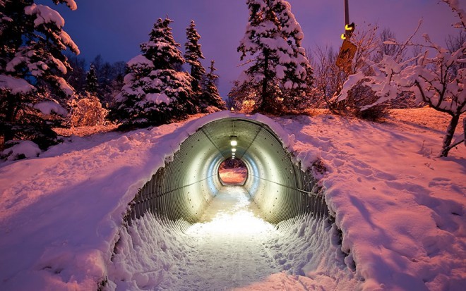 Tiertunnel in Finnland.
