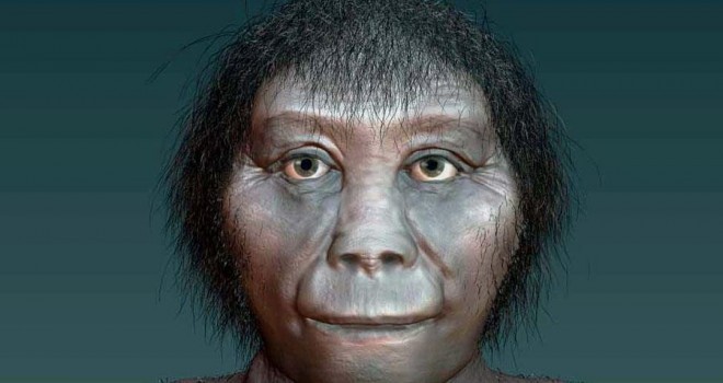 Interpretation of "Homo floresiensis"