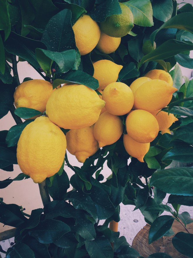  Limun sadrži limunsku kiselinu, koja se smatra prirodnim sredstvom za izbjeljivanje.