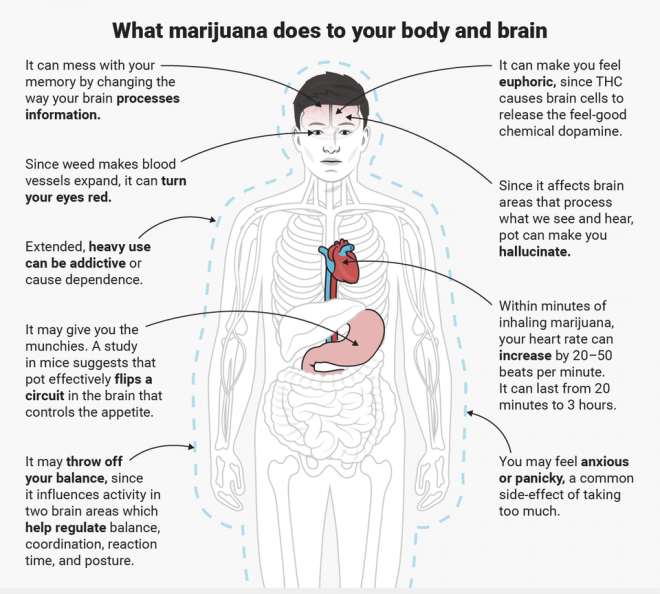 Co marihuana robi z Twoim ciałem i mózgiem