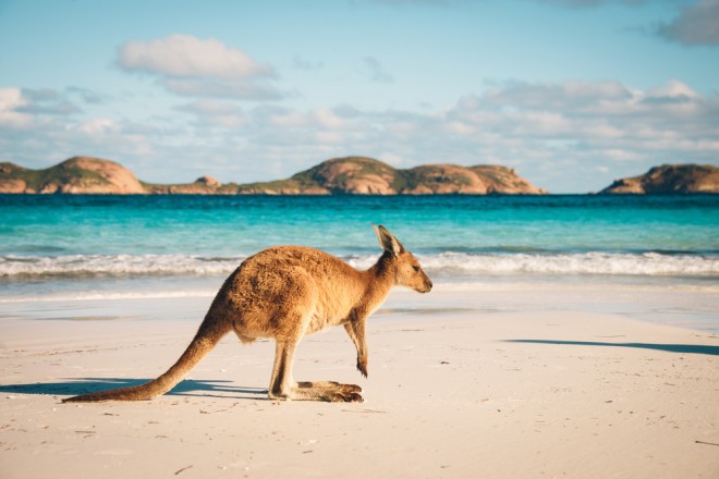 Austrálie je zemí, kde je křižovatka mezi divočinou a moderností.