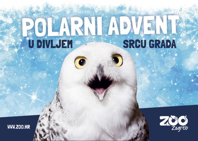 Polar Advent in ZOO Zagreb (Photo: Zagreb Advent)