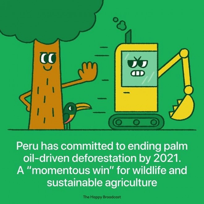 In Peru, they pledged not to cut down trees for palm oil. 
