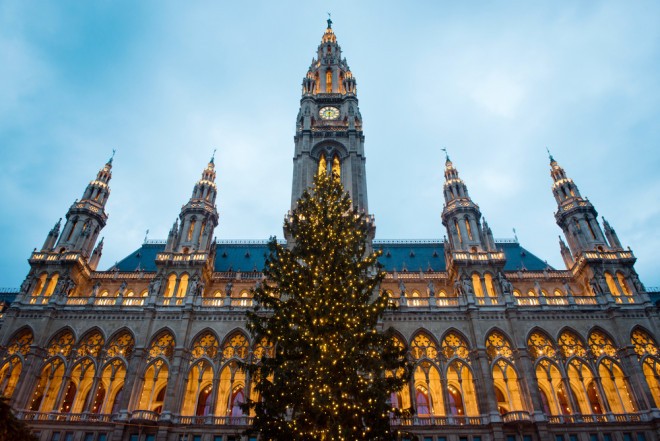 Božično drevo na Dunaju (Foto: Ventura / Shutterstock)