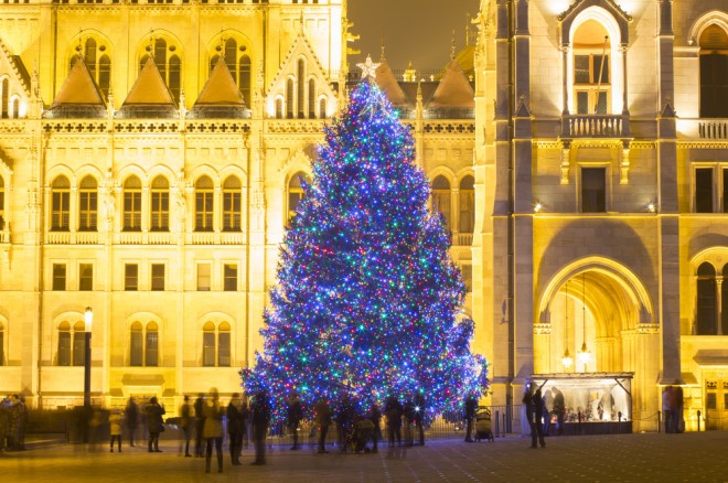 Božično drevo v Budimpešti (Foto: Dmitry Pistrov / Shutterstock)