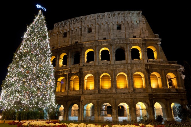 Weihnachtsbaum in Rom vor dem Kolosseum (Foto: Bucchi Francesco / Shutterstock)