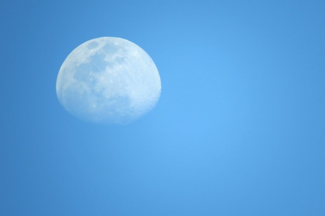 V dneh Jesetrove Lune se boste počutili zelo čustveno, ne glede na to ali ste samski ali v zvezi. 