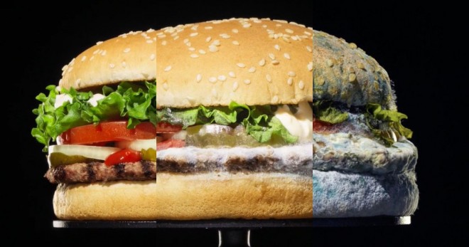 Co se skutečně stane s burgerem po 34 dnech přípravy?