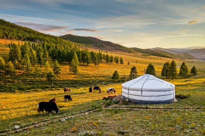 La Mongolia è la terra delle seppie d'erba.
