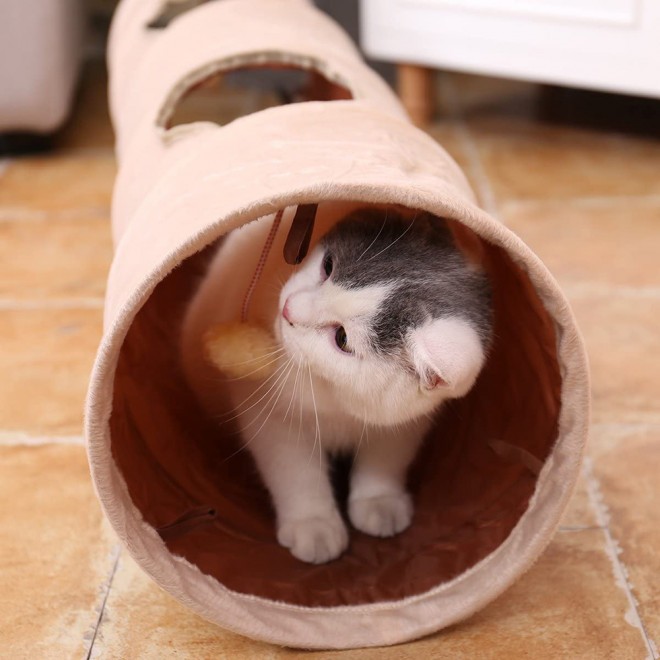Tunel za mačko